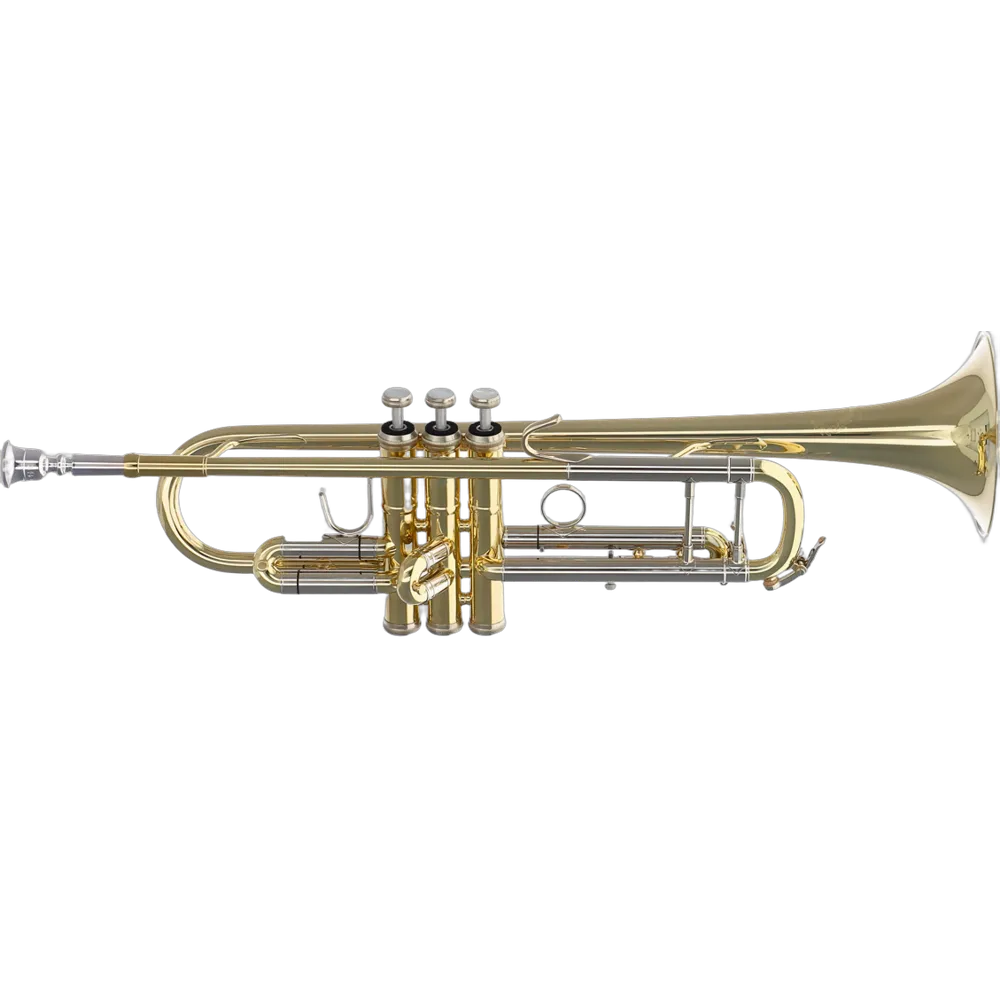 Vorderes Coverbild B&S Challenger II 3137/2-L