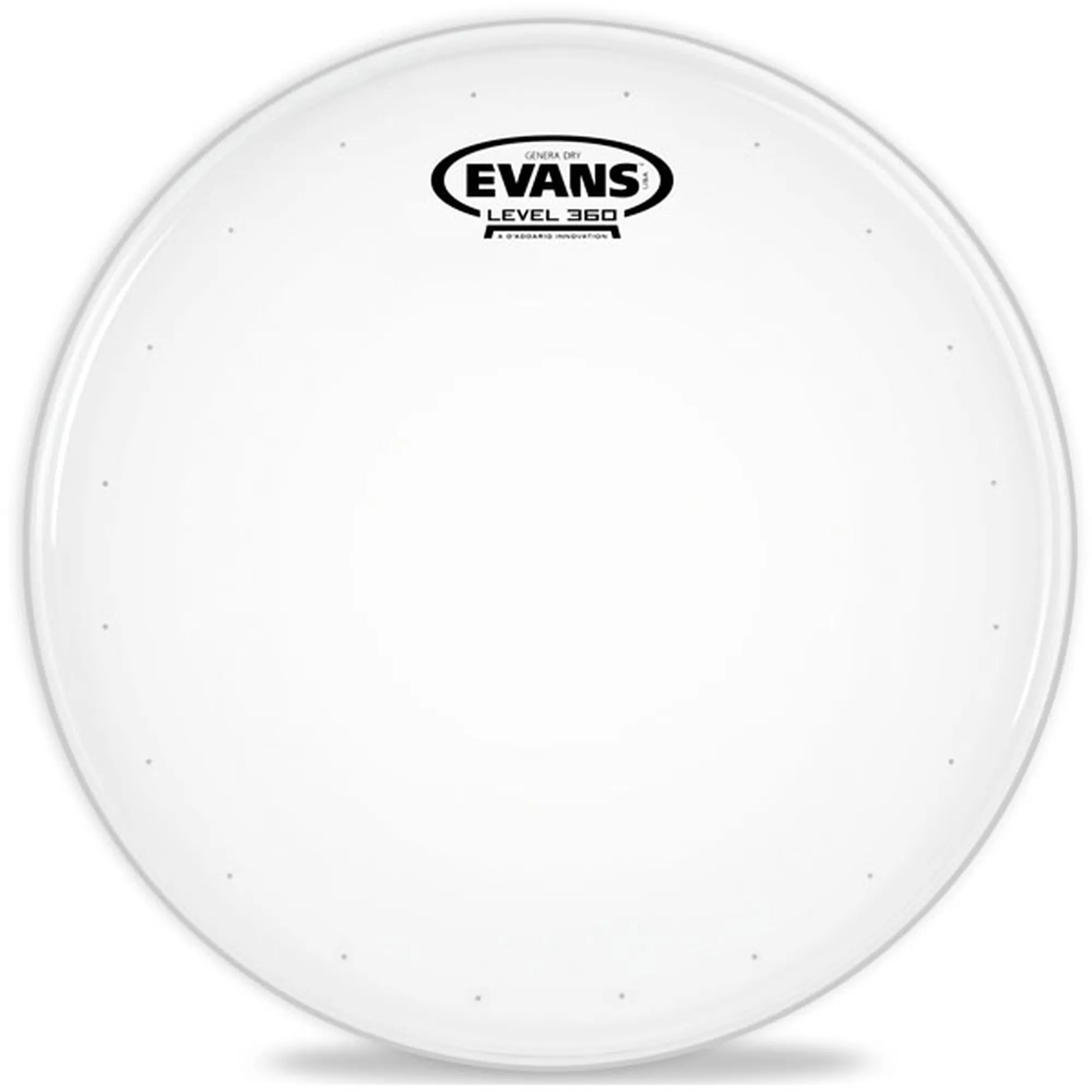 Evans Genera Dry 12"