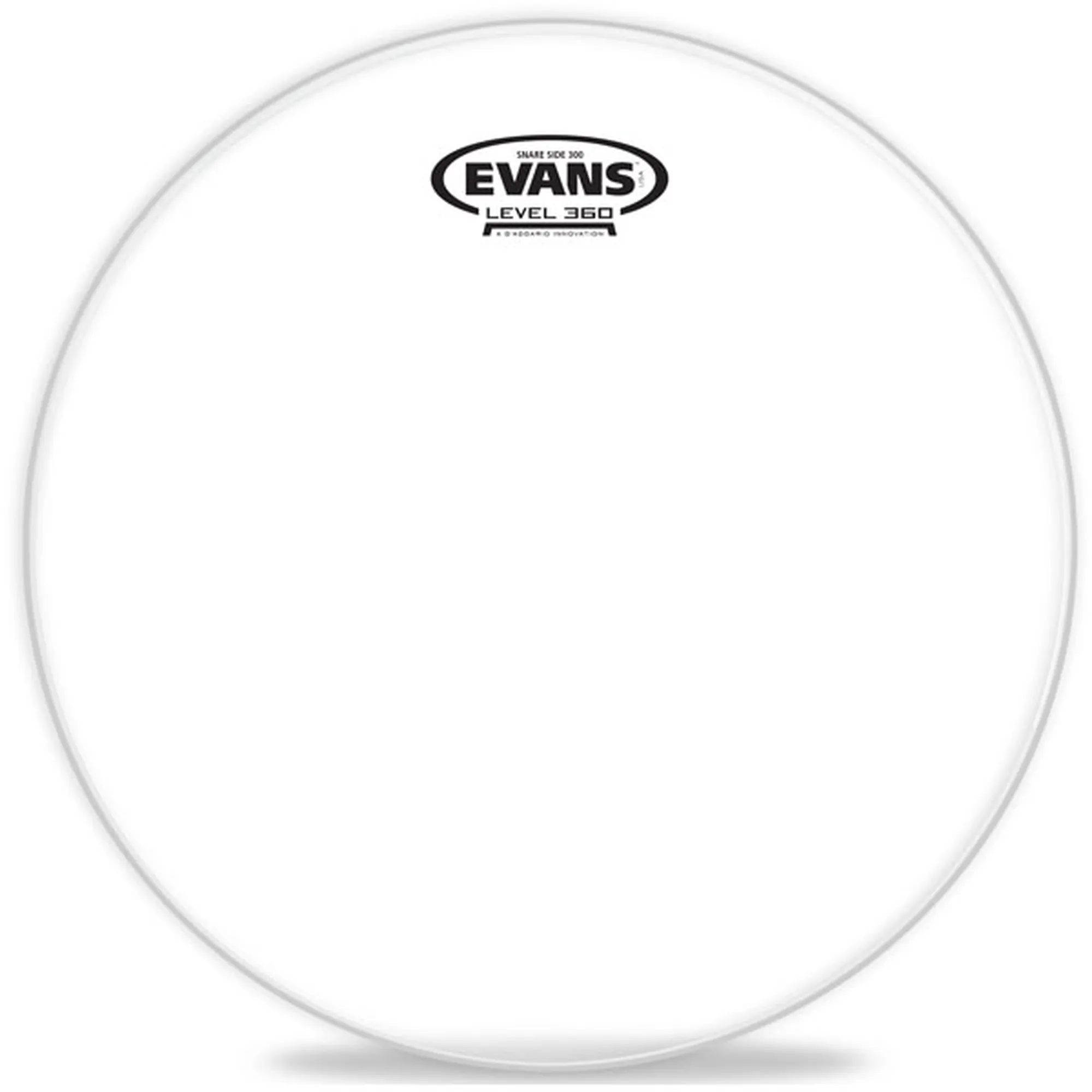 Evans S10H30 Hazy 300 10"