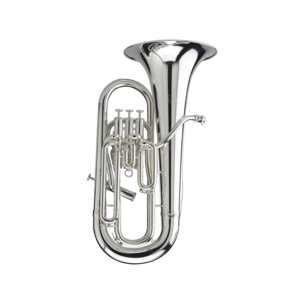 Vorderes Coverbild Adams E1 RM Custom 055 SP