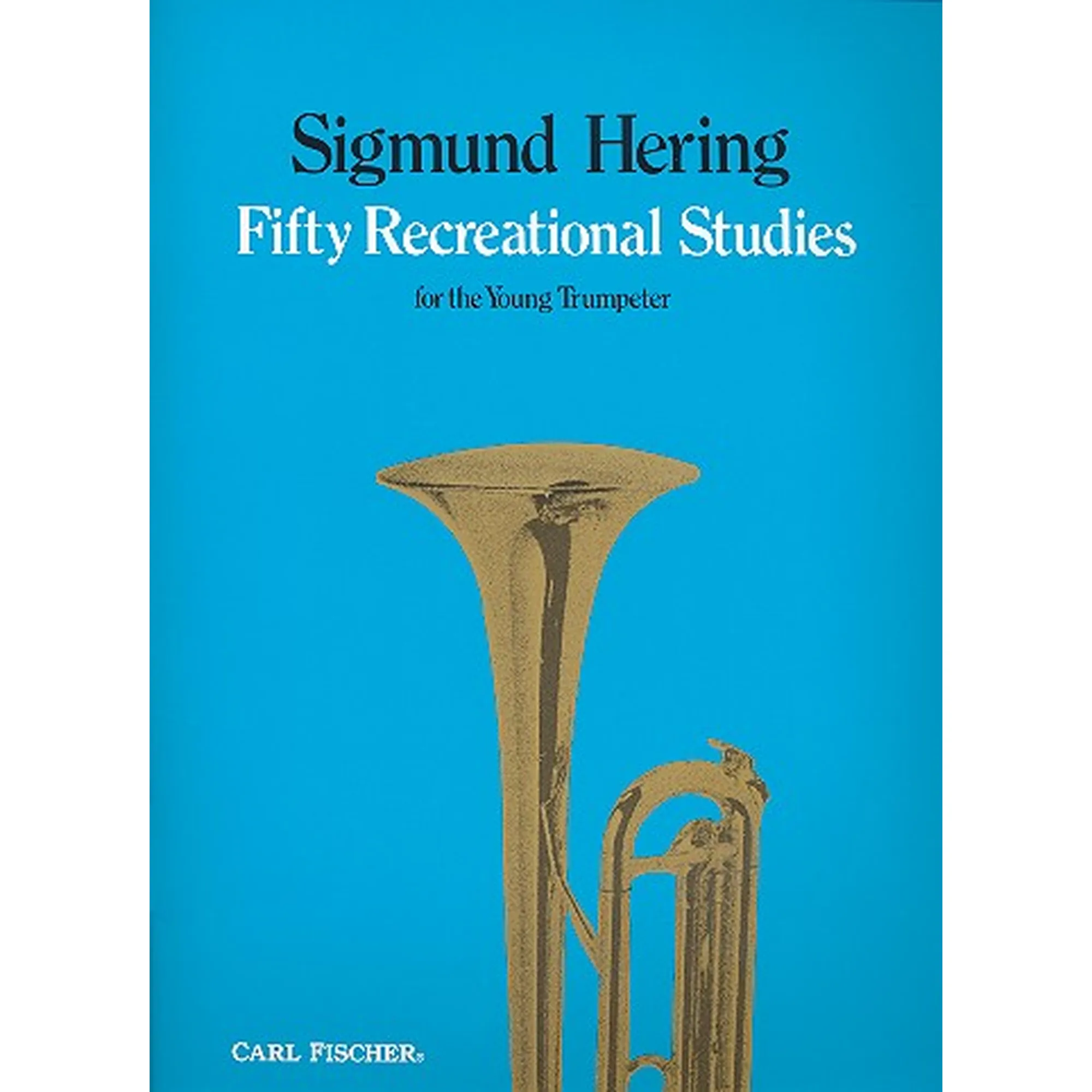 Anderes Coverbild 50 recreational studies
