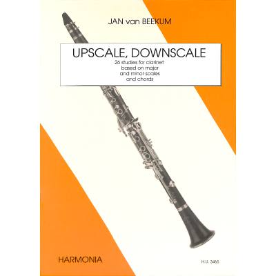 Upscale Downscale