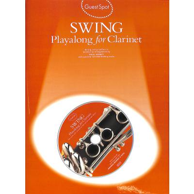Vorderes Coverbild Swing