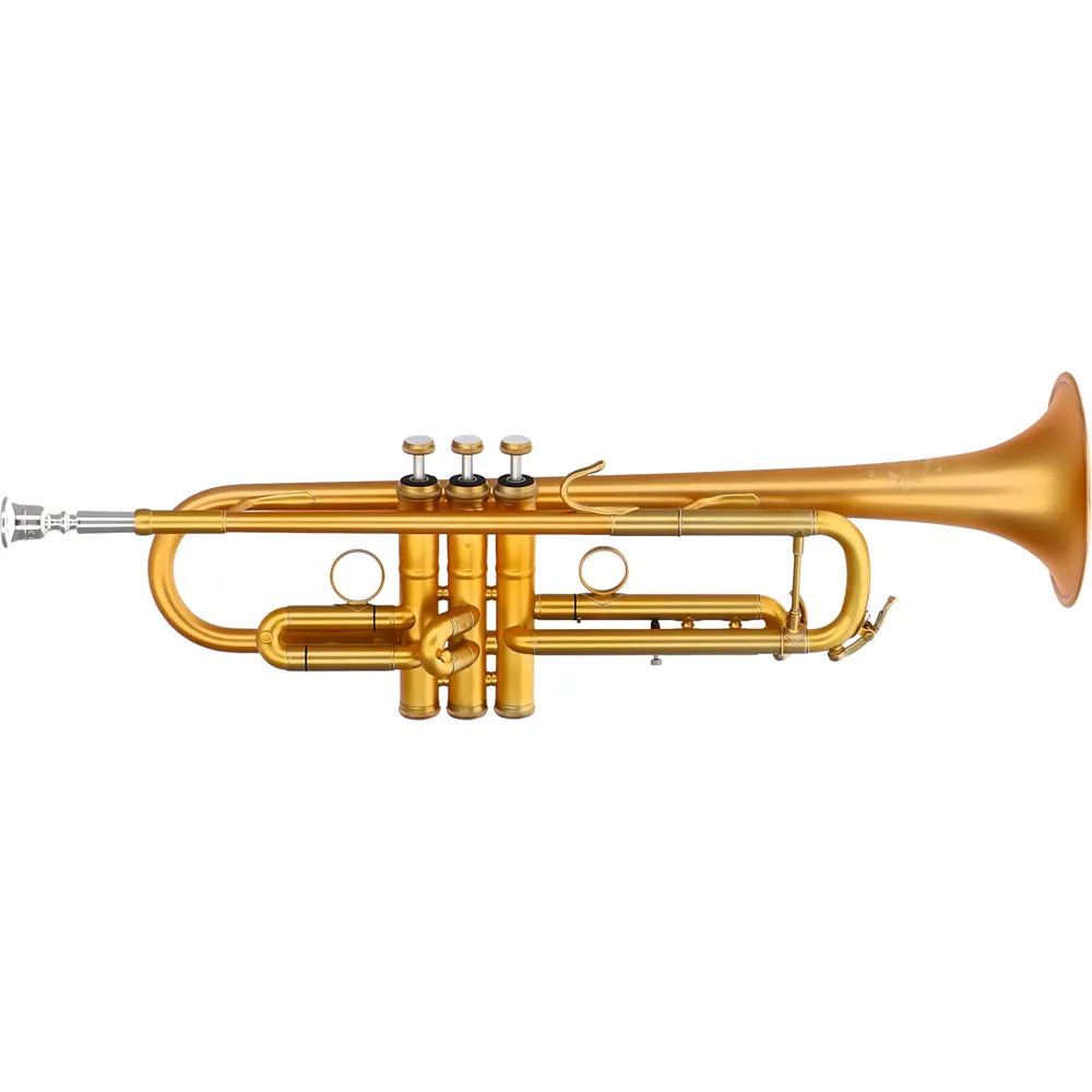 Vorderes Coverbild B&S MBXHLR-8M-0D