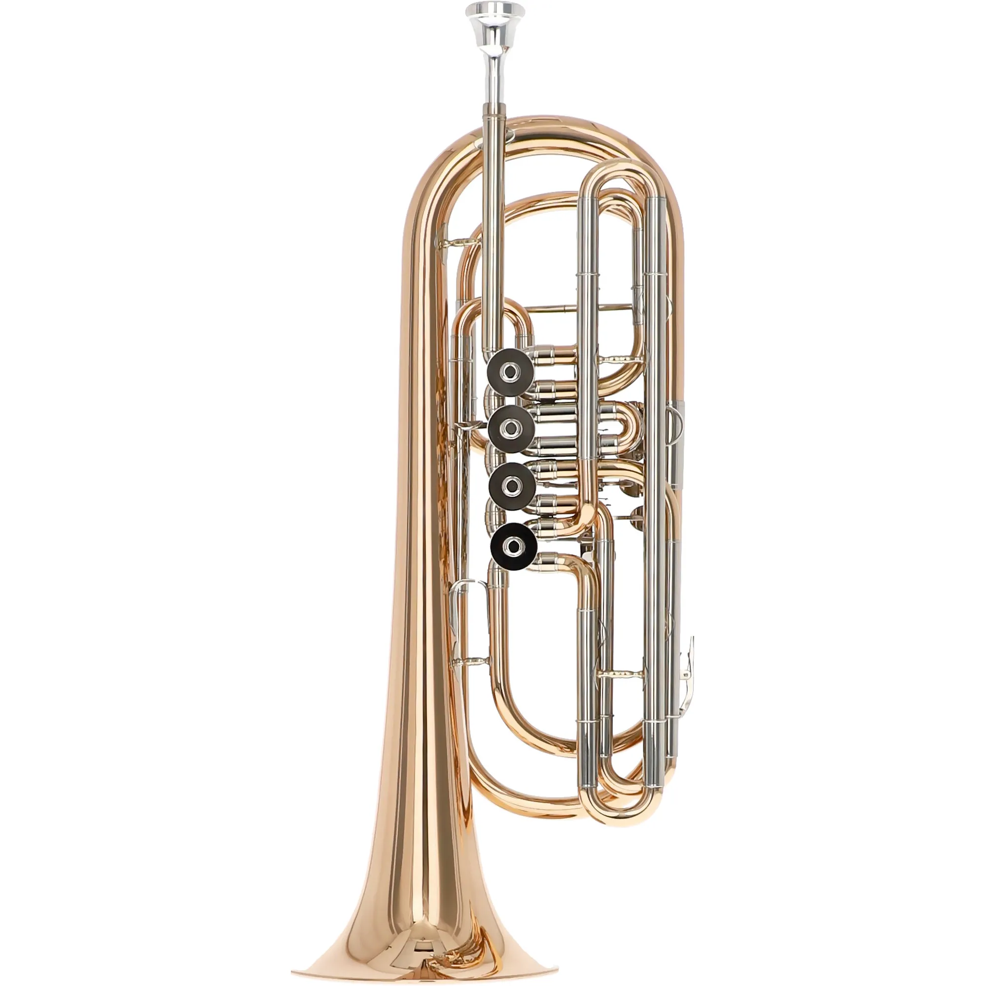 Anderes Coverbild Reisser Academia RBT-48G