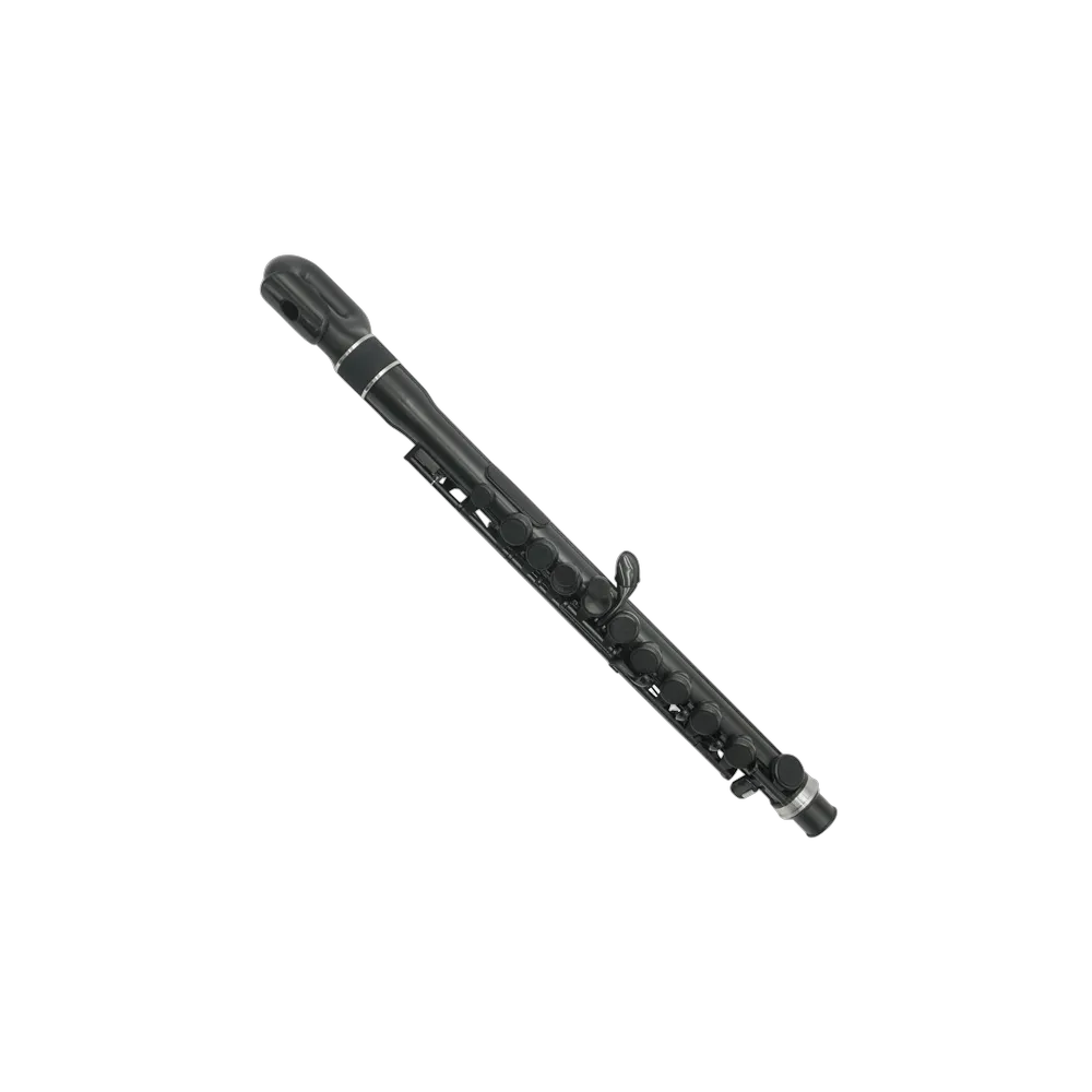 Vorderes Coverbild NUVO jFlute 2.0 JF220BK