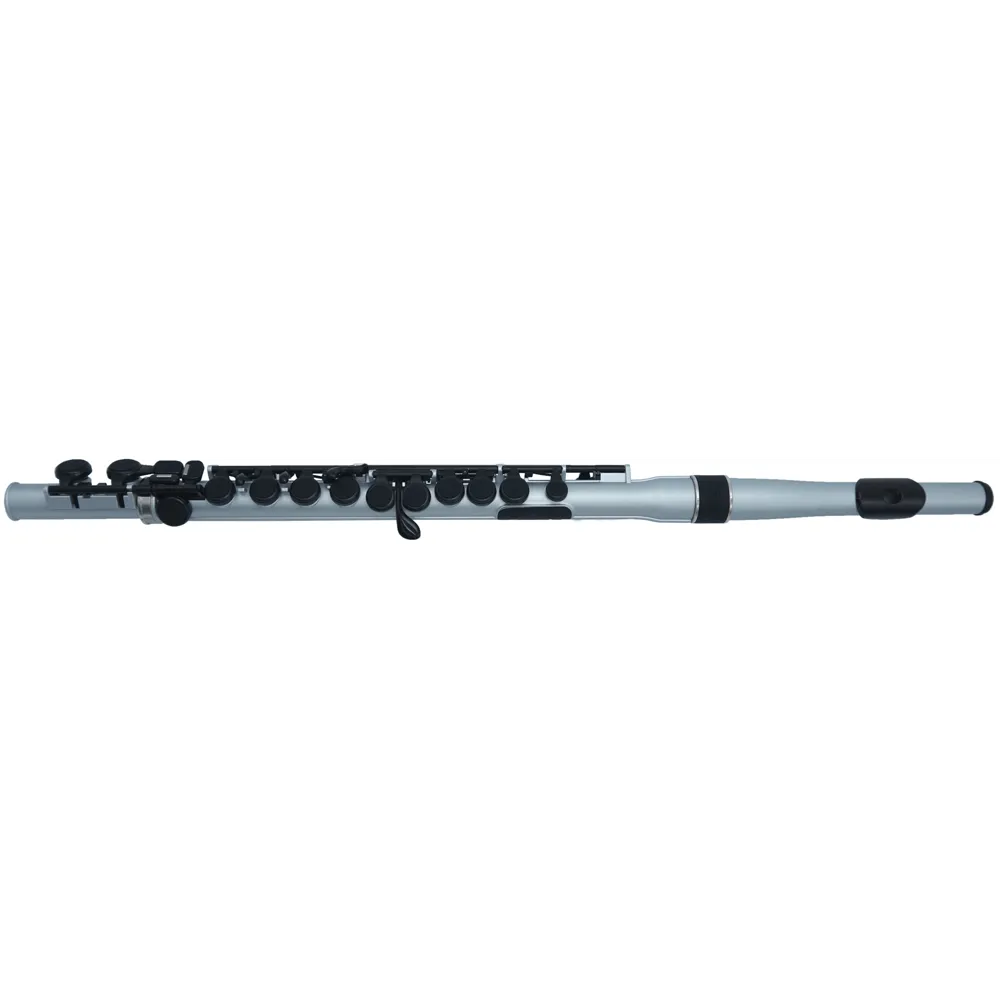 NUVO Student Flute 2.0 SF300FSV