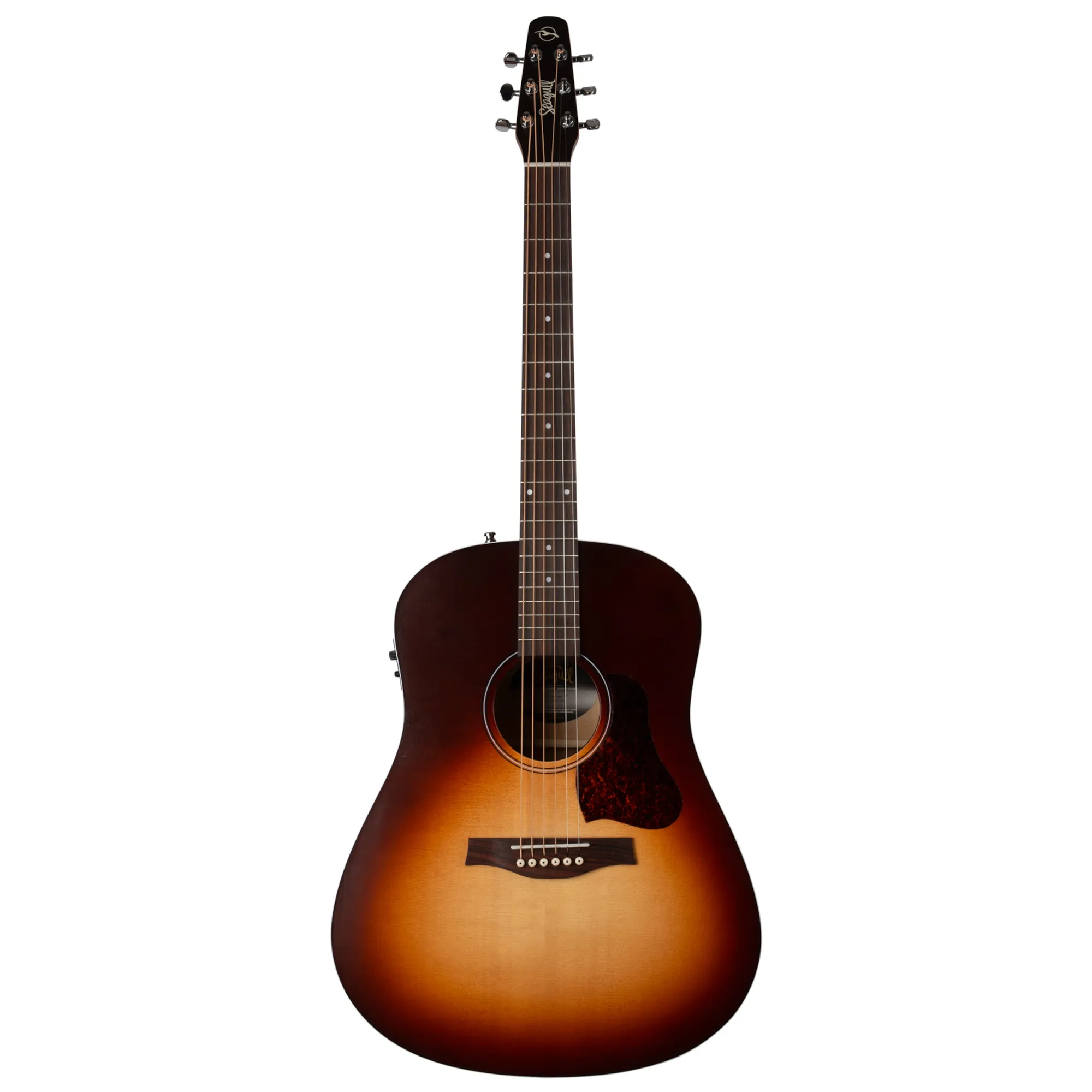 Vorderes Coverbild Seagull Entourage Autumn Burst Presys II