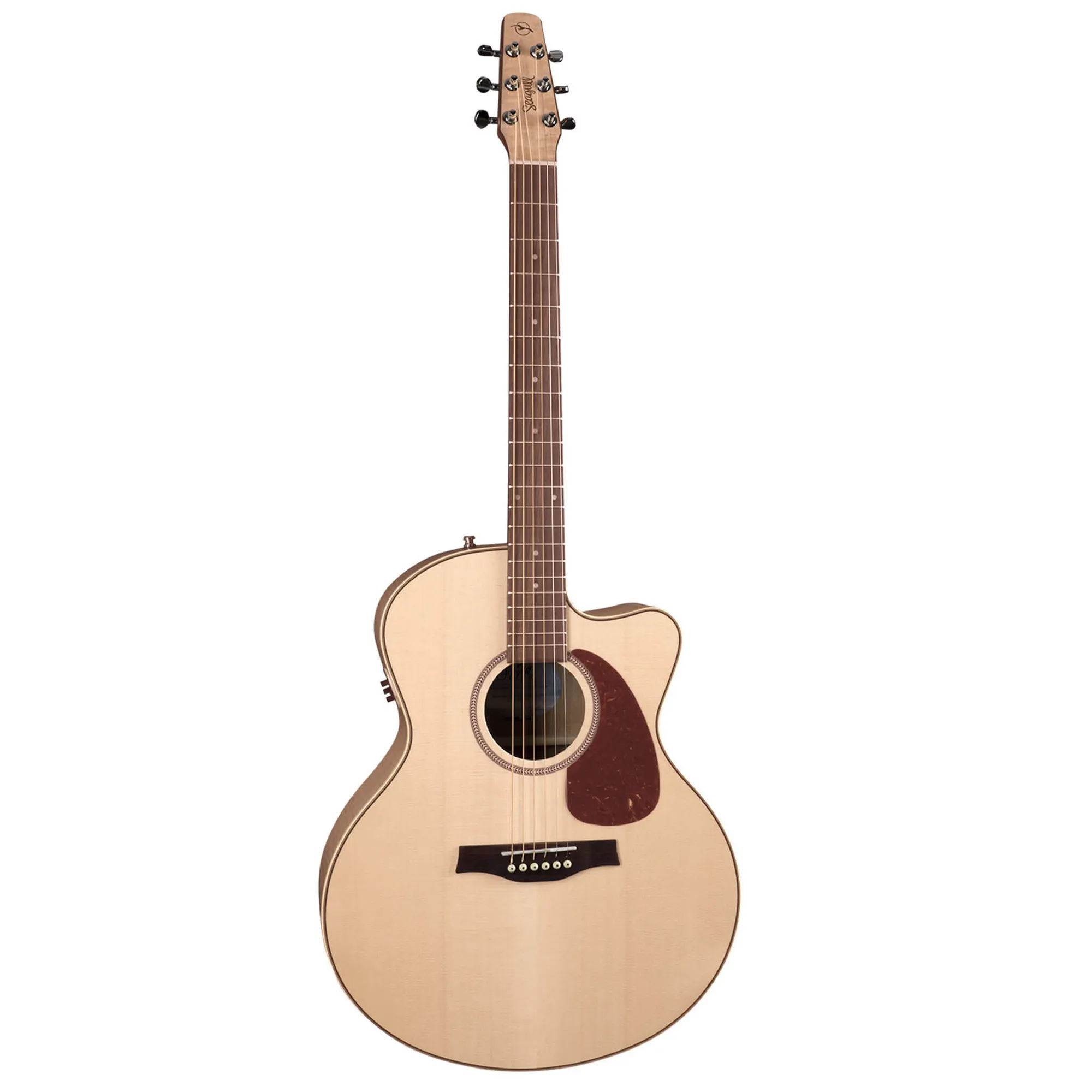 Vorderes Coverbild Seagull Performer CW MJ Q1T