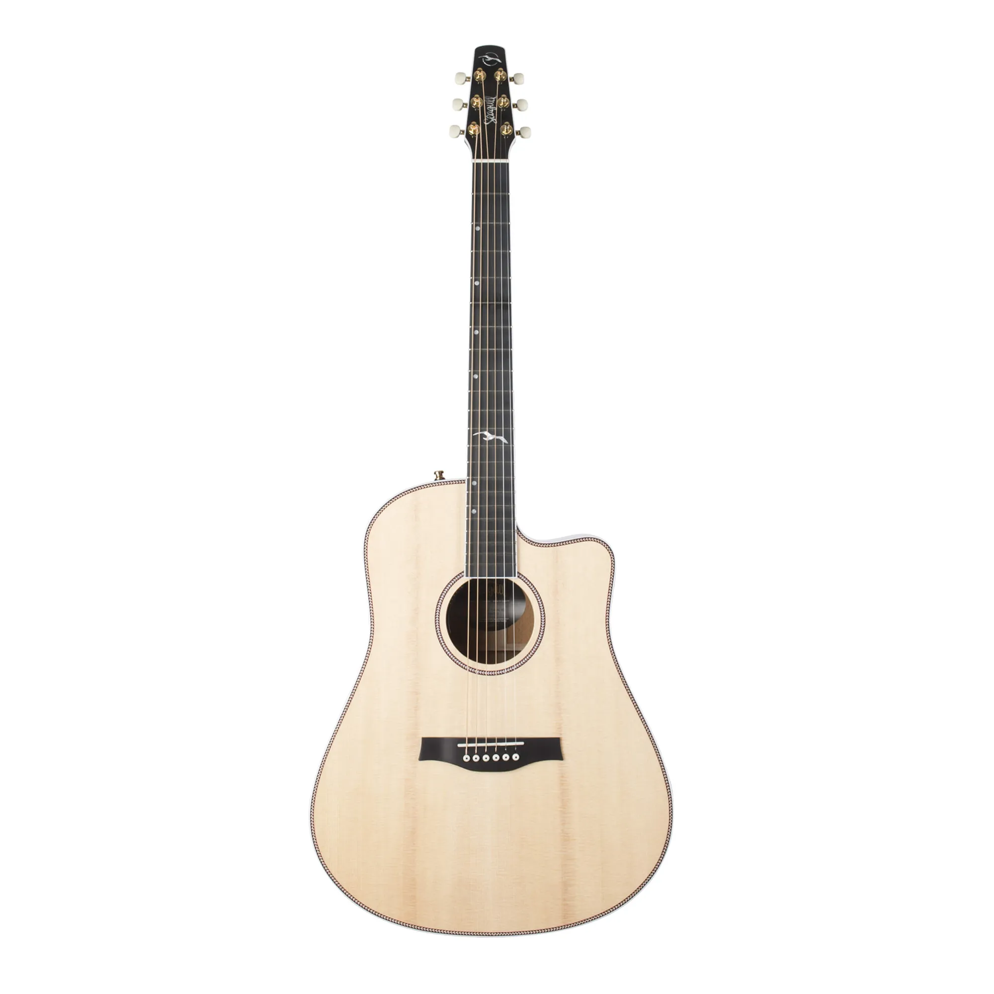 Vorderes Coverbild Seagull Artist Mosaic CW HG Anthem EQ