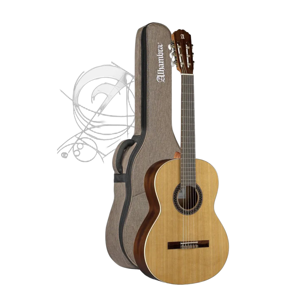 Vorderes Coverbild Alhambra 1C Hybrid Terra 1/2 mit Gigbag