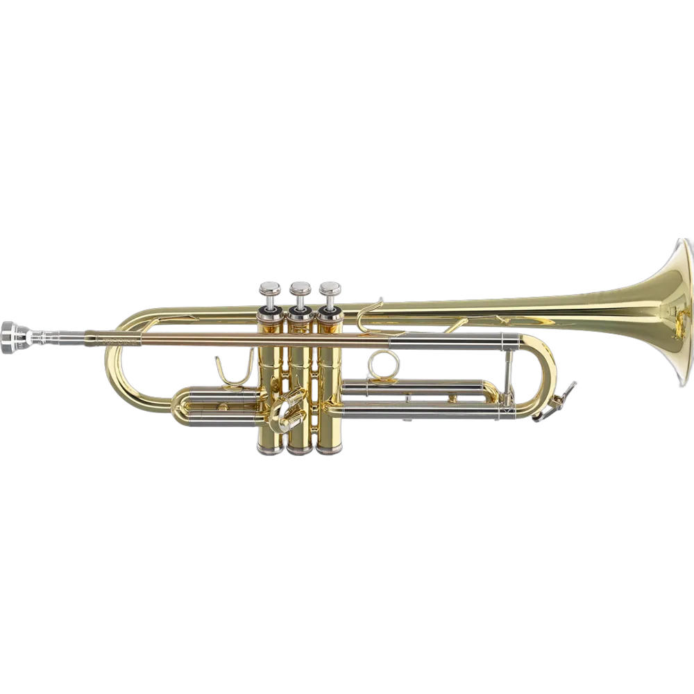 Vorderes Coverbild B&S Prodige 210-1-0