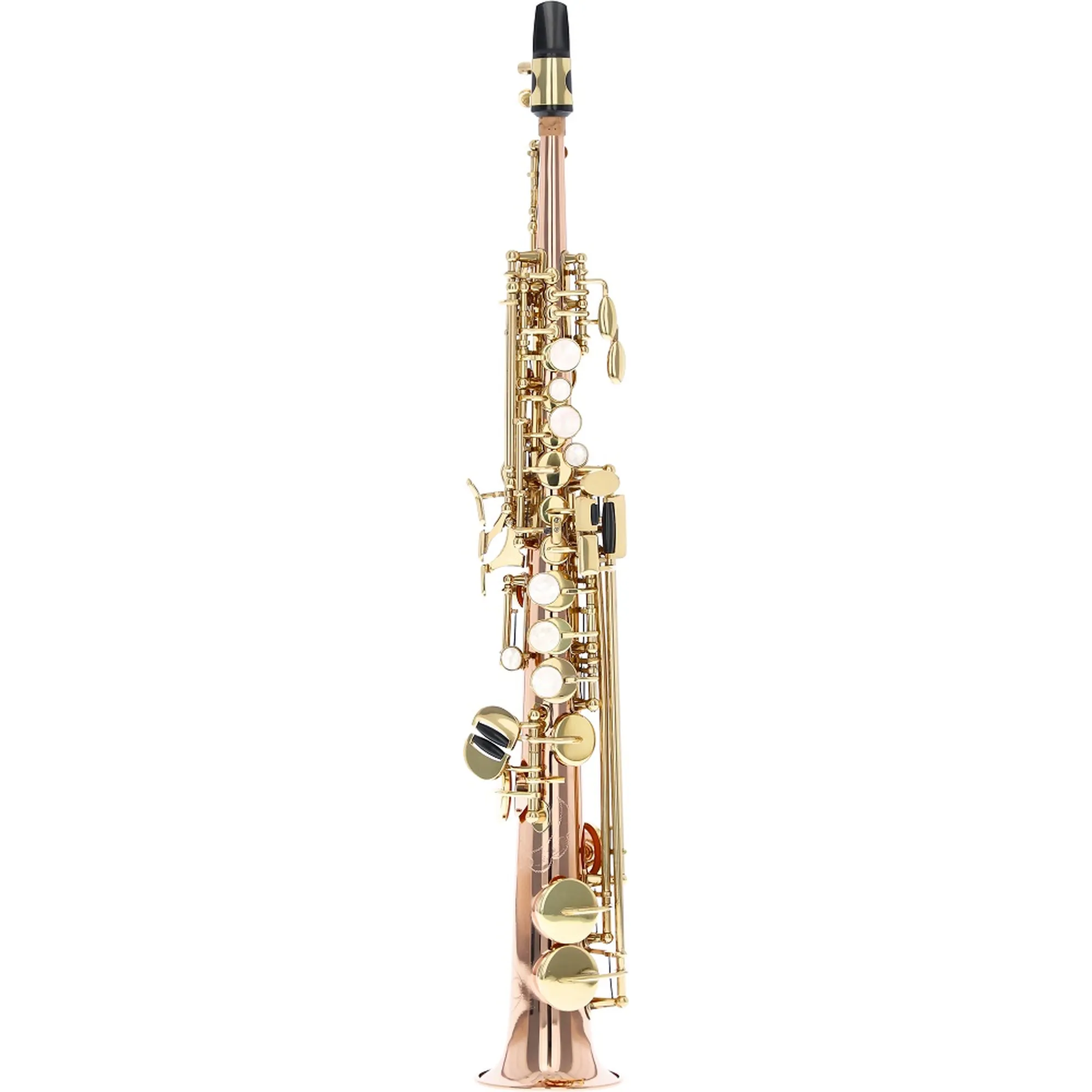 Vorderes Coverbild Reisser Academia RSSN-48R