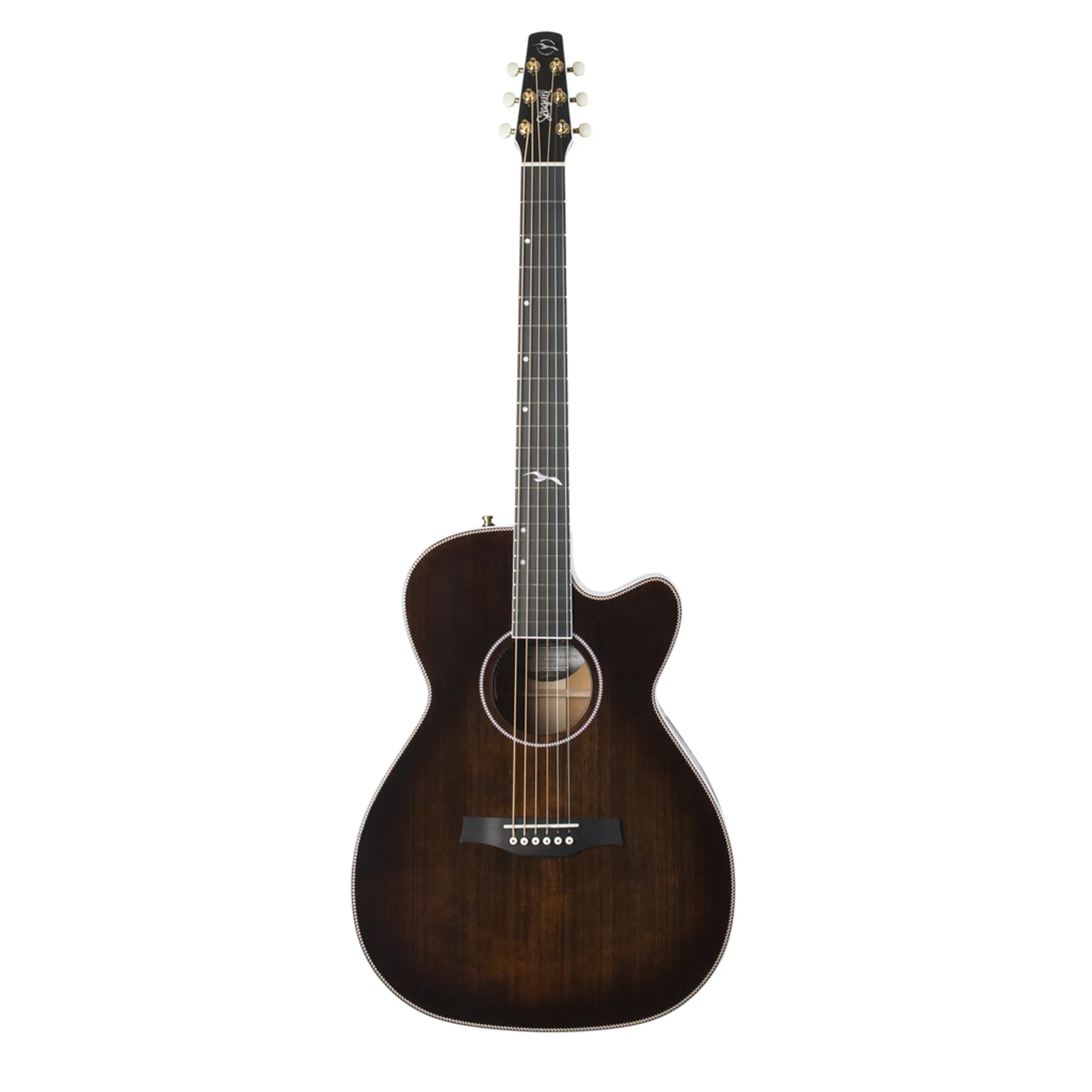 Vorderes Coverbild Seagull Artist Mosaic Concert Hall CW Bourbon Burst GT Anthem EQ
