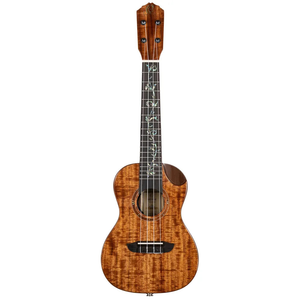 Vorderes Coverbild Ortega RUET-ACA