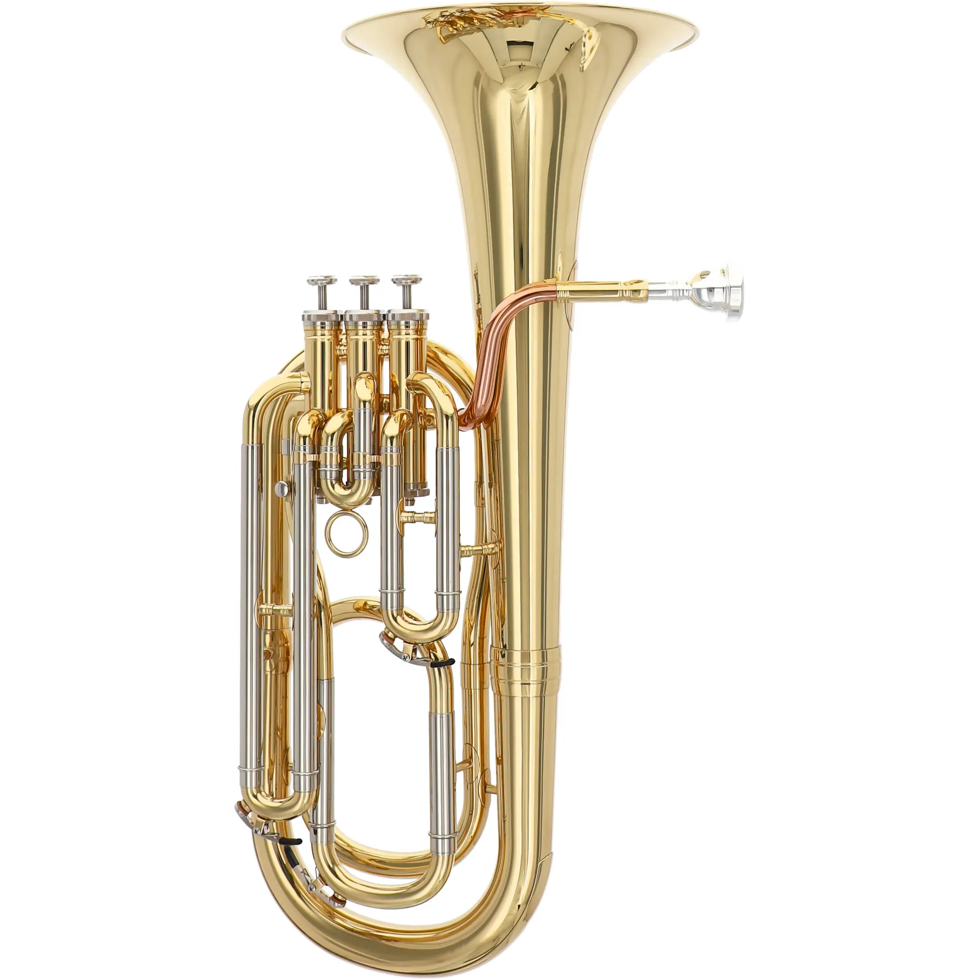 Vorderes Coverbild Reisser Academia RBH-301