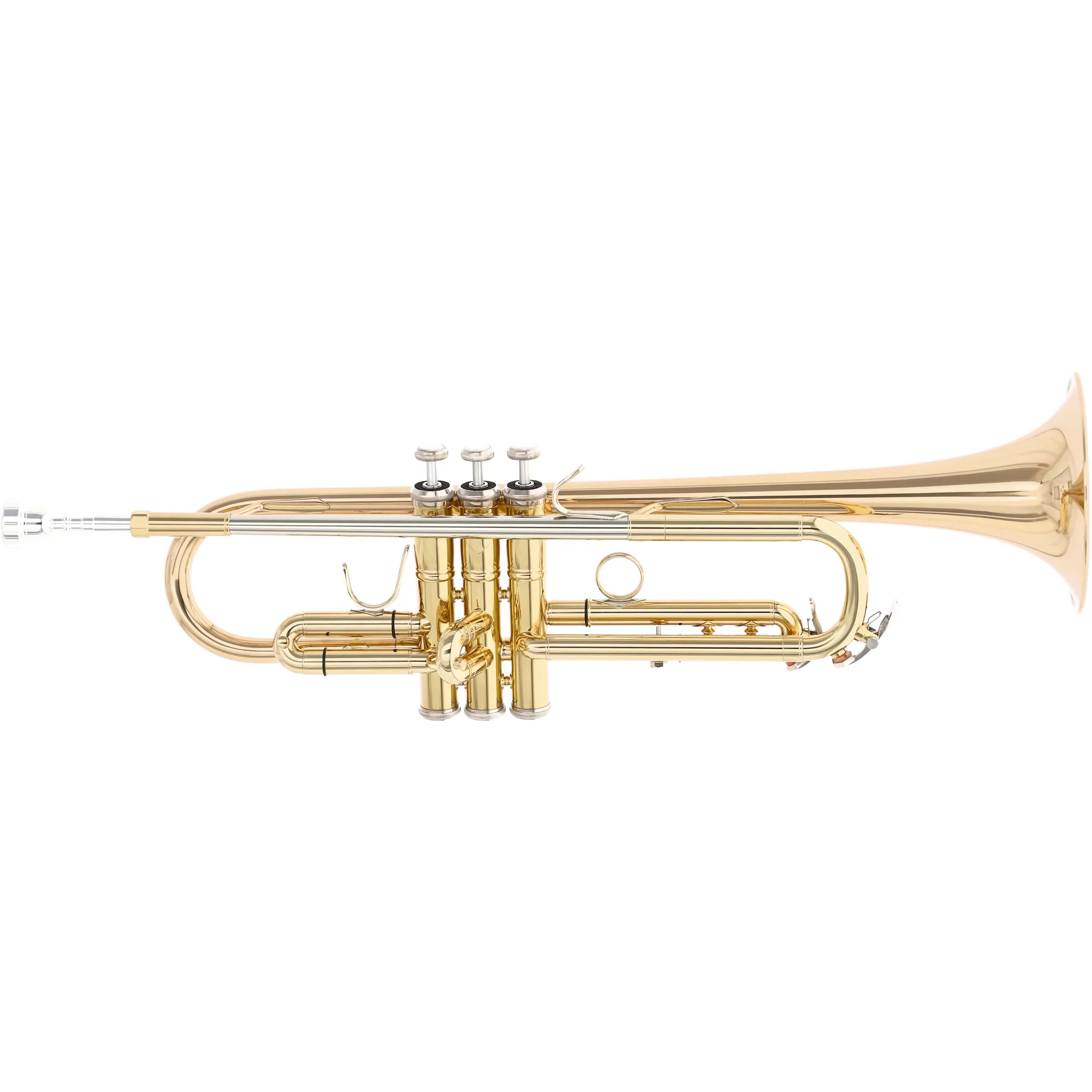 Vorderes Coverbild Reisser Academia RTR-180G Einzelstück