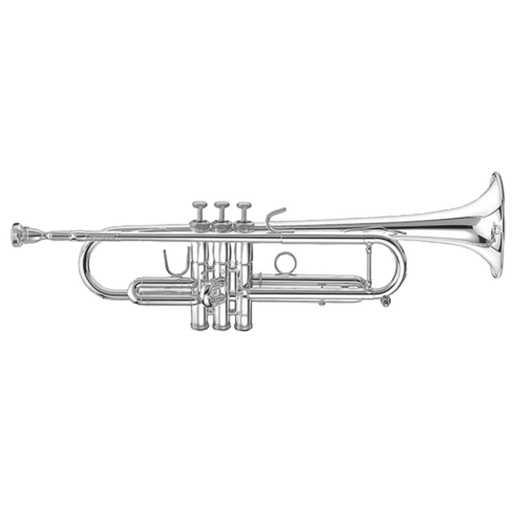 Vorderes Coverbild Stomvi Forte 5000 -Einzelstück-