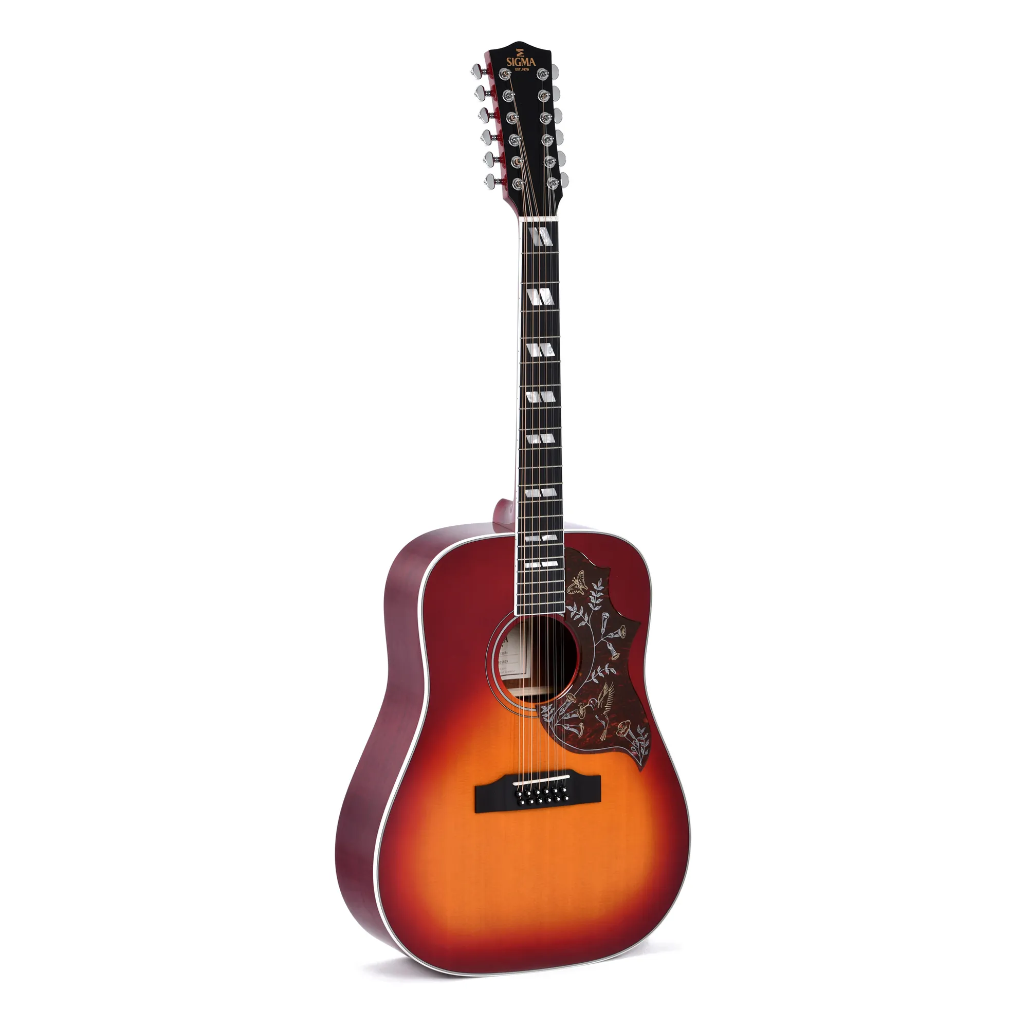 Vorderes Coverbild Sigma DM12-SG5