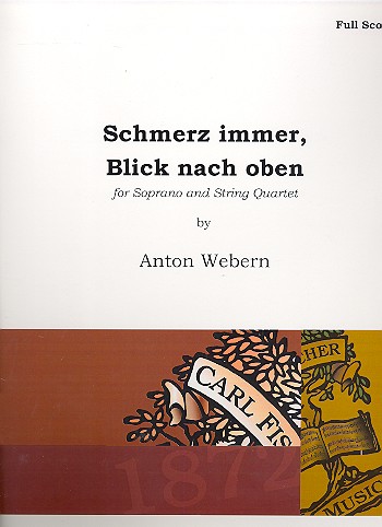 Vorderes Coverbild Schmerz immer Blick nach oben
