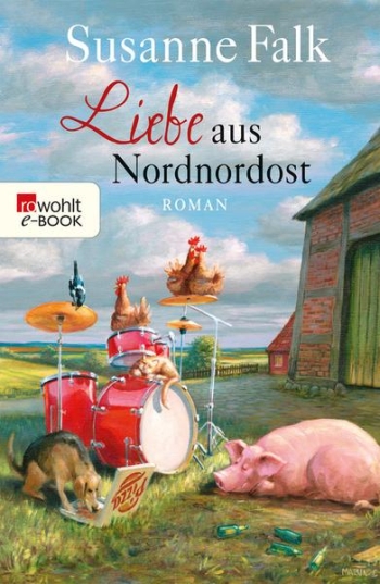 Vorderes Coverbild Liebe aus Nordnordost Roman