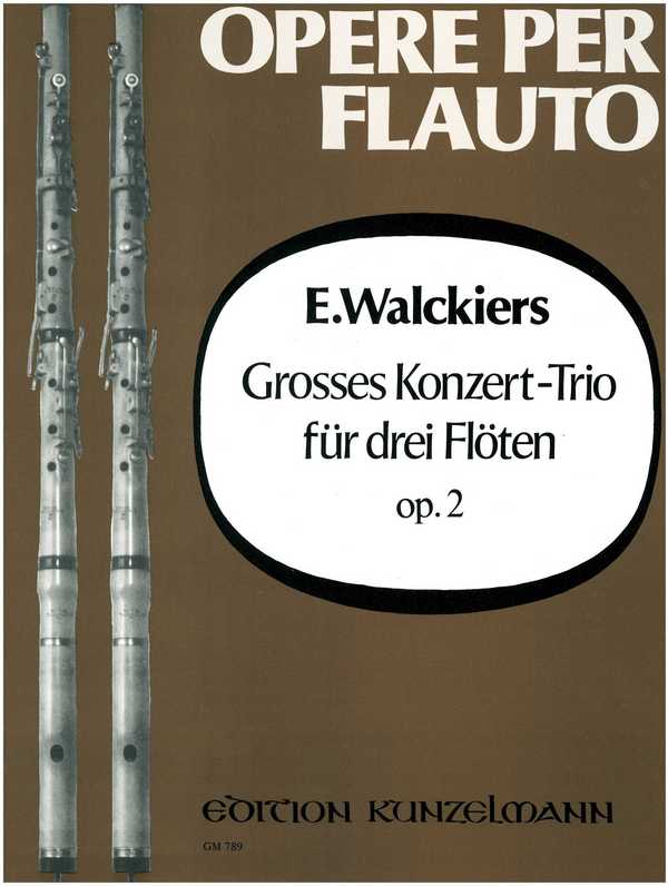Vorderes Coverbild Großes Konzert-Trio op.2