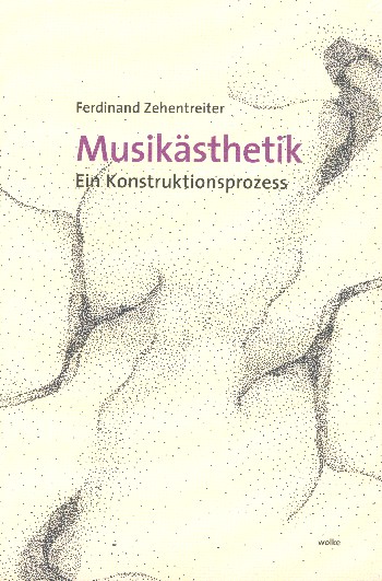 Vorderes Coverbild Zehentreiter Musikästhetik Konstruktionsprozess