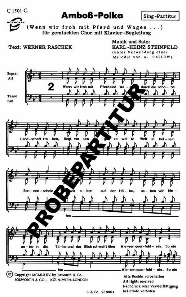 Vorderes Coverbild Amboß-Polka