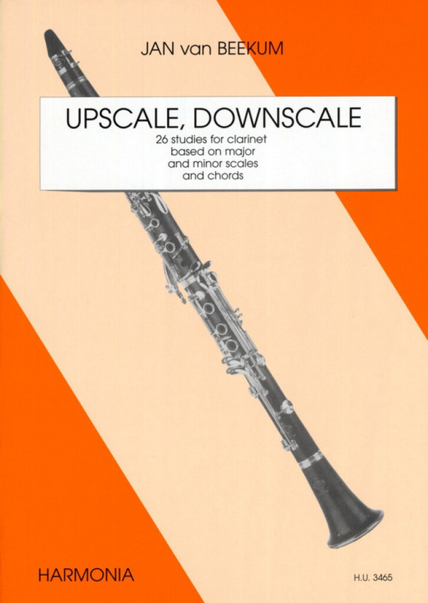 Upscale Downscale