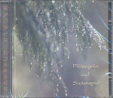 Vorderes Coverbild Flötengrün und Saitenspiel CD