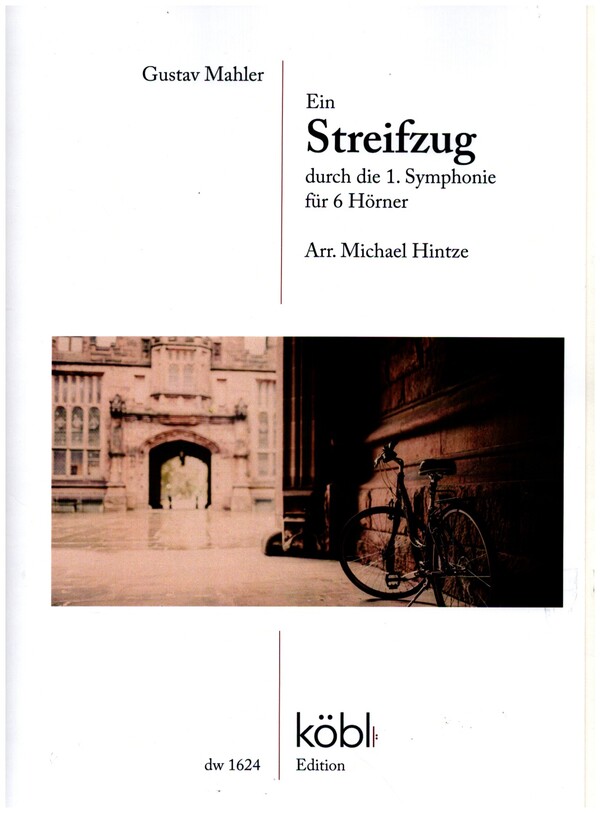 Vorderes Coverbild Streifzug durch die 1. Symphonie