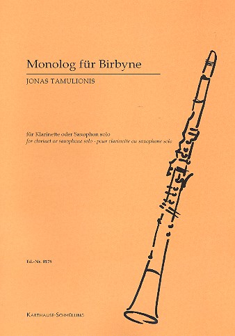 Vorderes Coverbild Monolog für Birbyne
