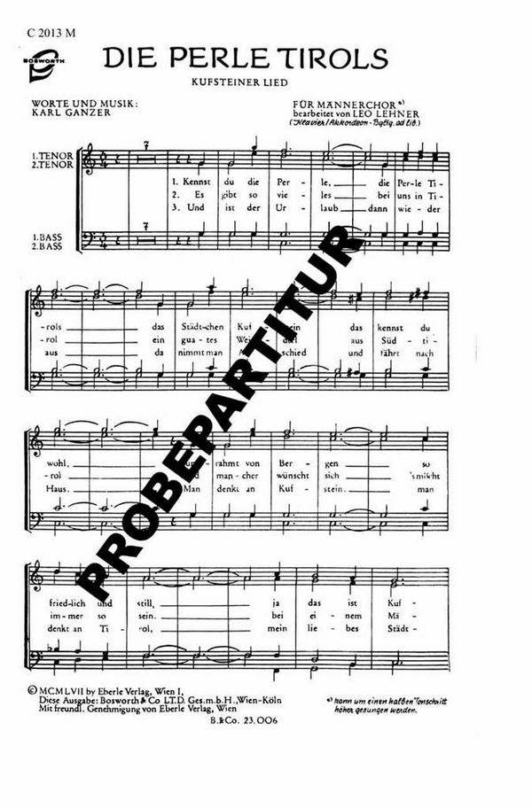 Vorderes Coverbild Die Perle Tirols