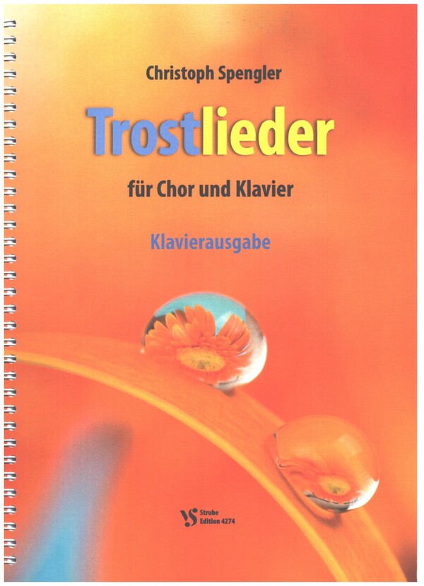 Vorderes Coverbild Trostlieder