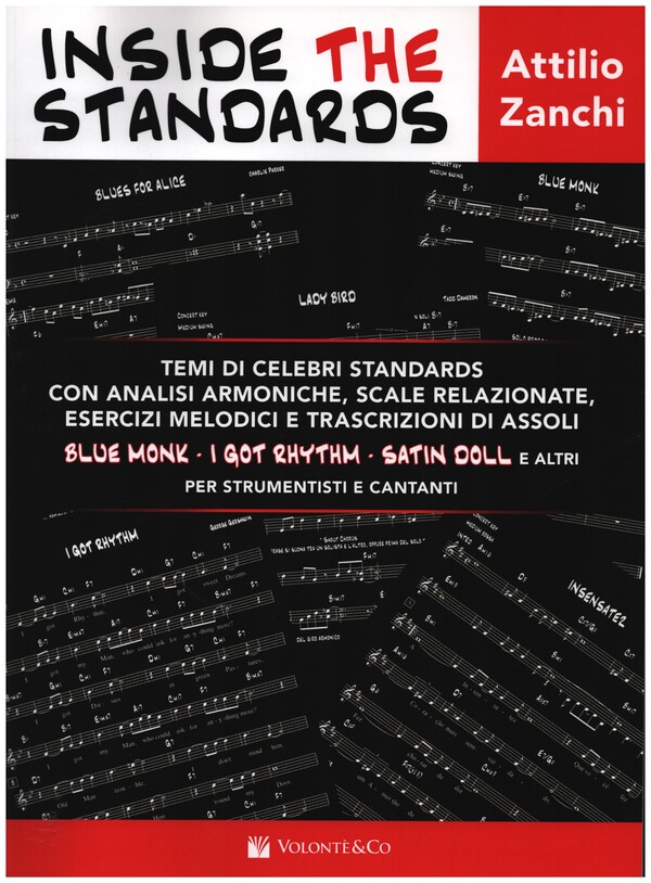 Vorderes Coverbild Inside the Standards