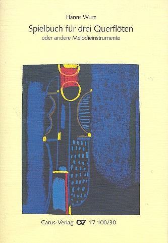 Vorderes Coverbild Spielbuch 