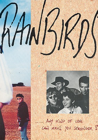 Vorderes Coverbild Rainbirds: Any kind of Love