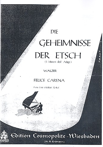 Vorderes Coverbild Die Geheimnisse der Etsch: