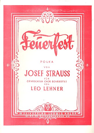 Vorderes Coverbild Feuerfest