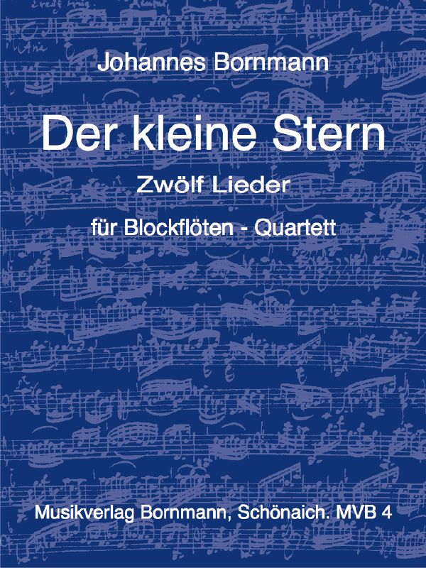 Vorderes Coverbild Der kleine Stern - Ein musikalisches Märchen