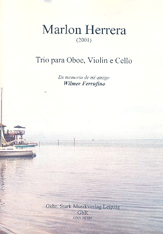 Vorderes Coverbild Trio