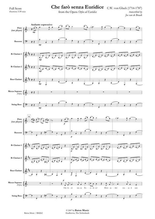 Vorderes Coverbild Wolfgang Amadeus Mozart, Ave verum corpus