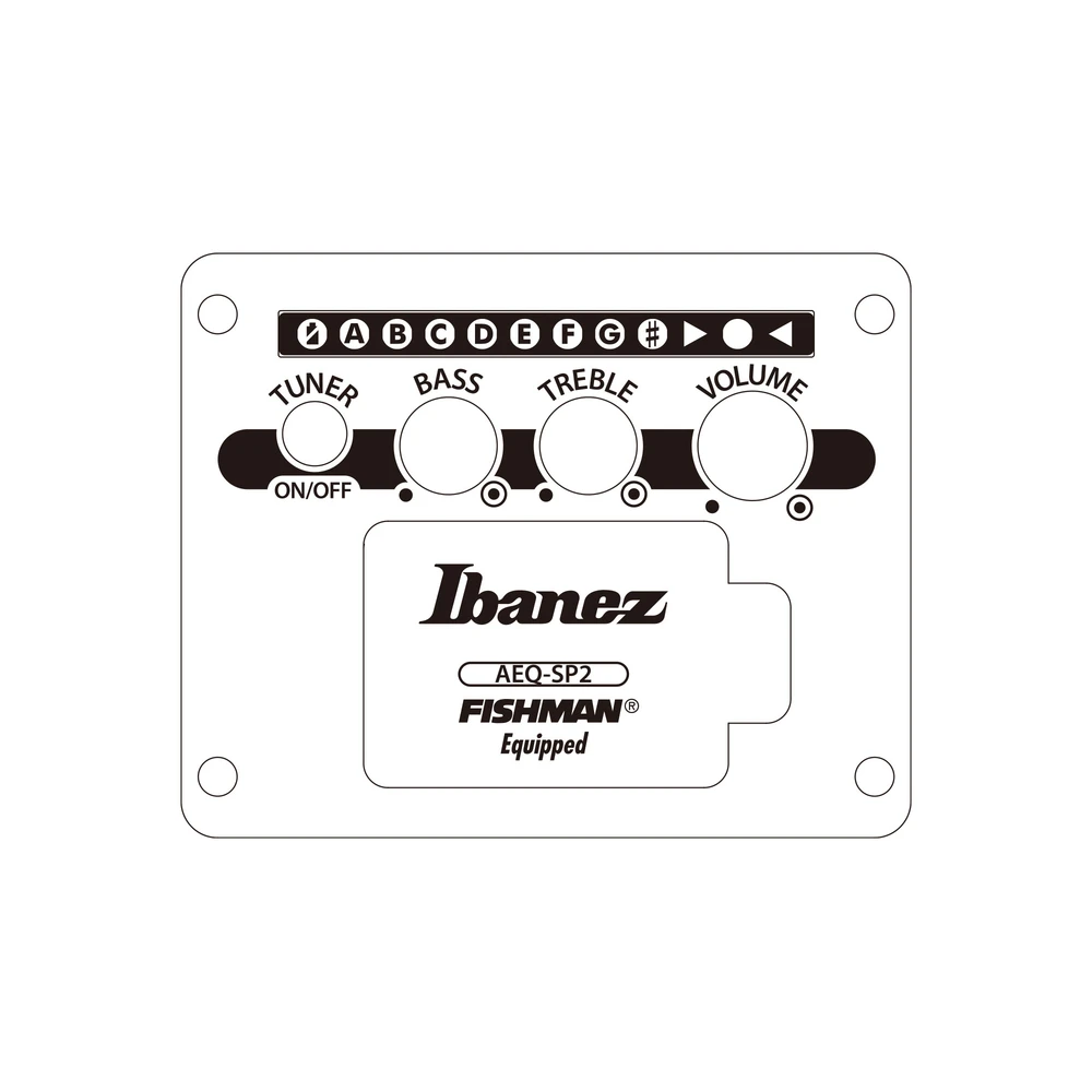 Ibanez AEWC621-BOT