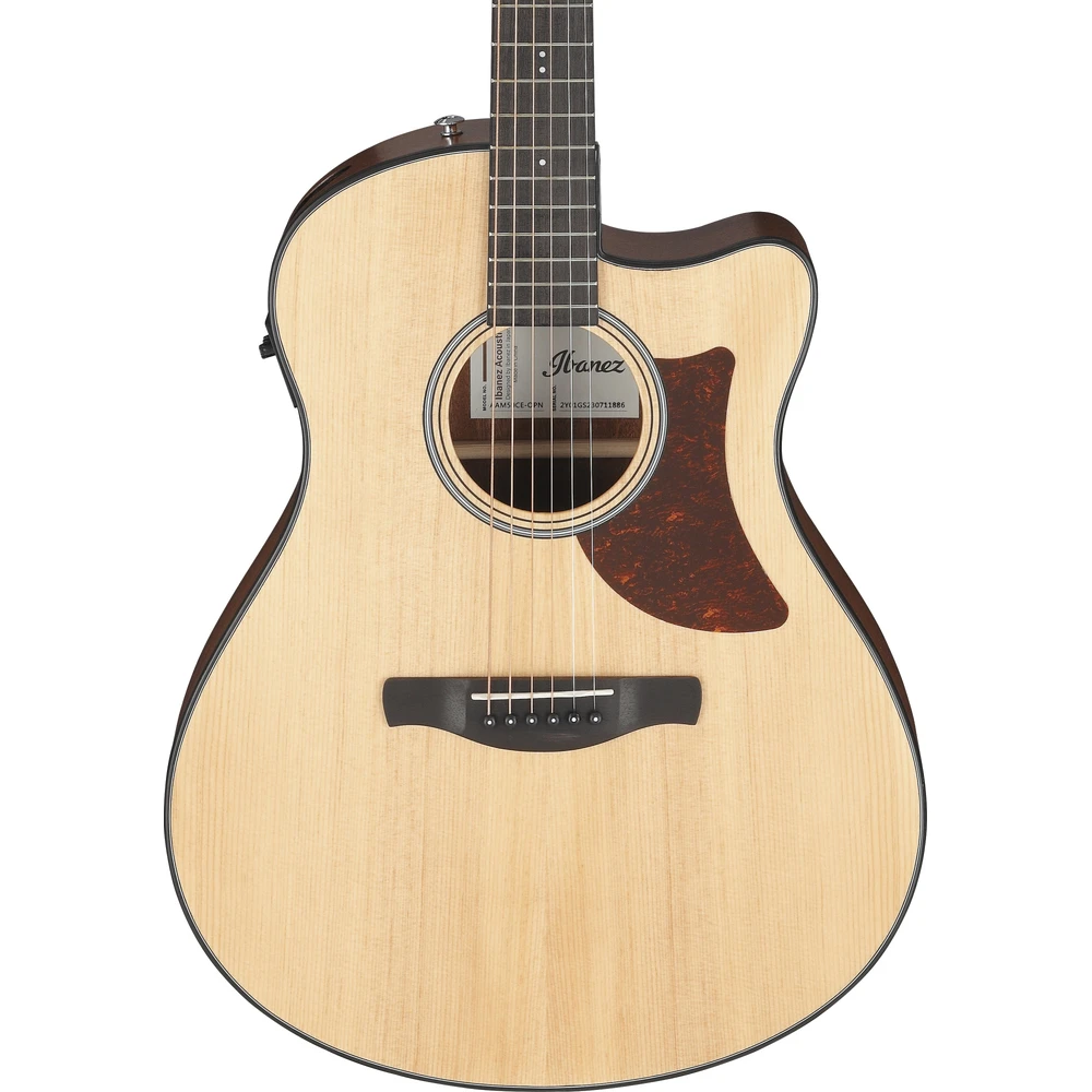Ibanez AAM50CE-OPN