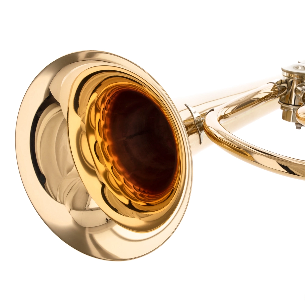 Voigt Brass JV-513-G-T Ambition