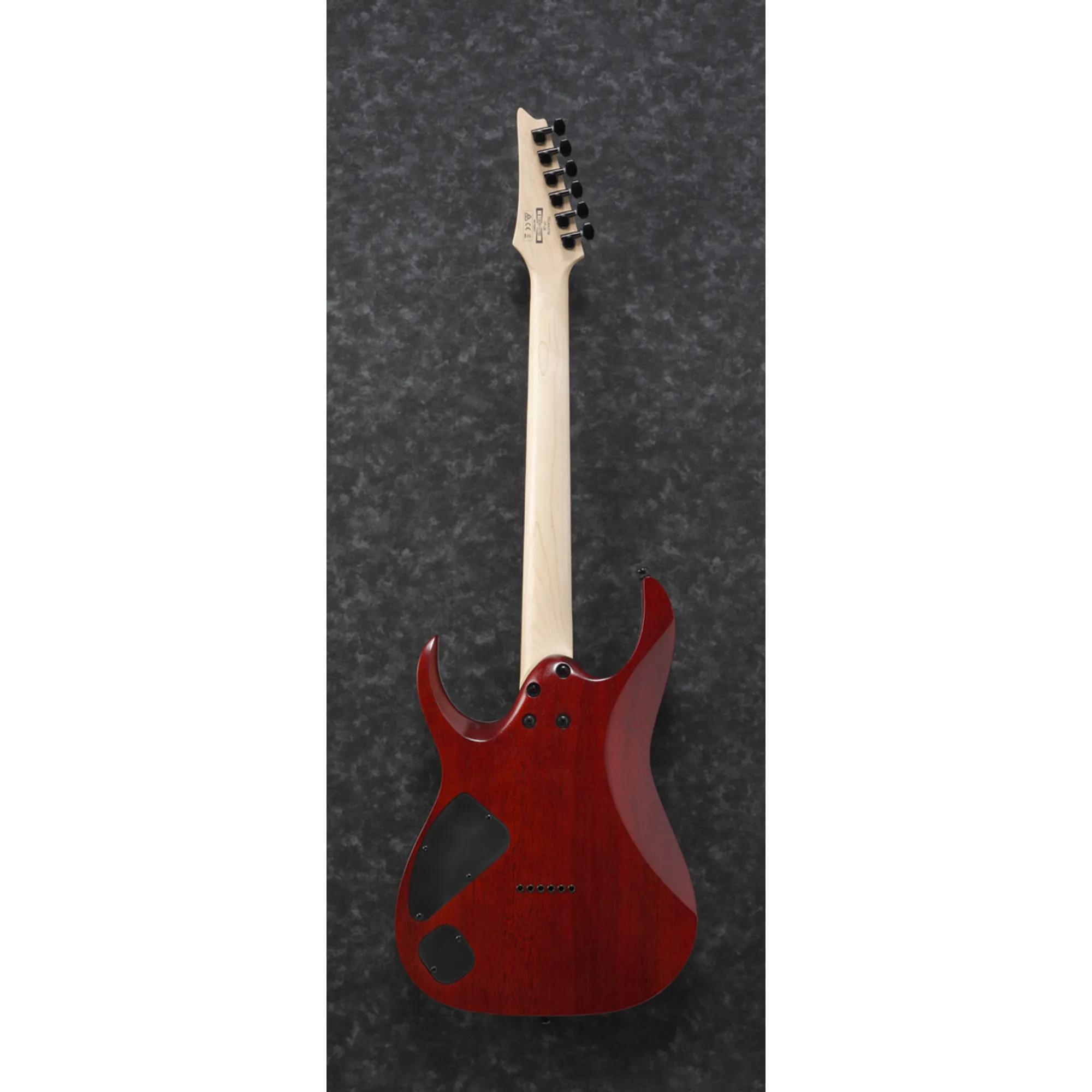 Ibanez RGA42FM-TGF
