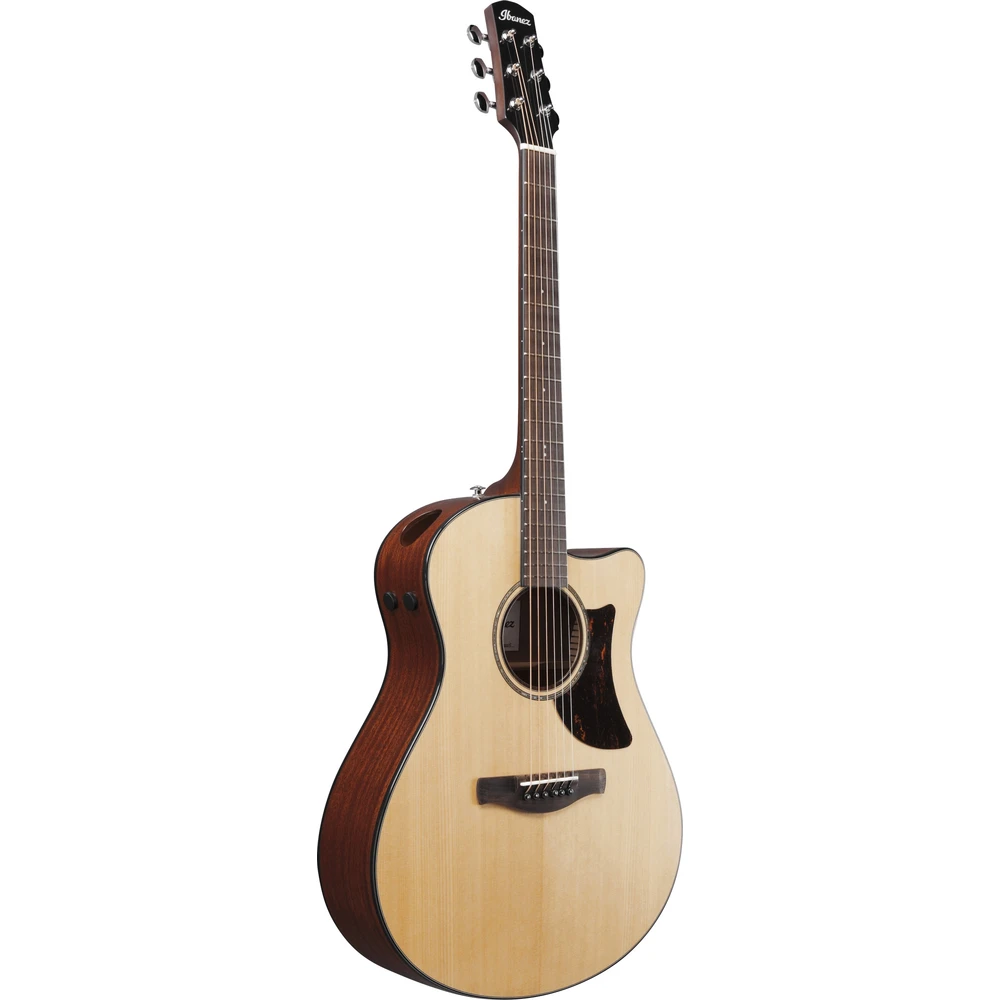 Ibanez AAM300CE-NT