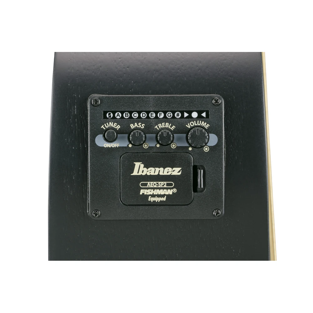 Ibanez AEWC621-BOT
