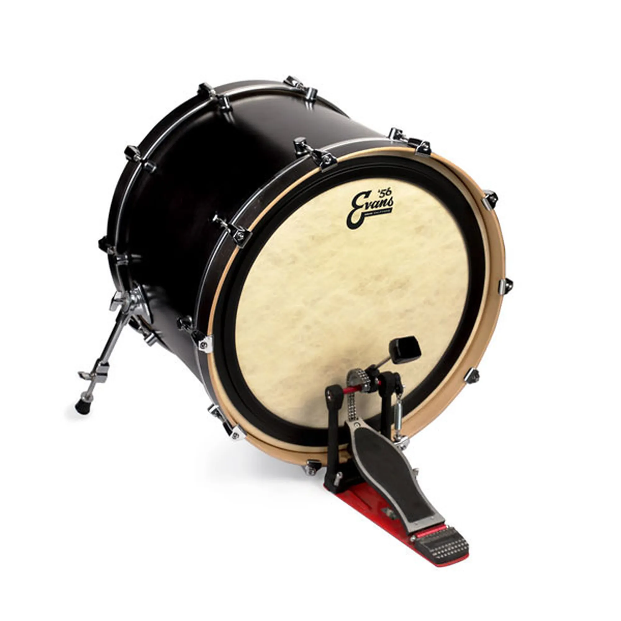 Evans EMAD Calftone 16"