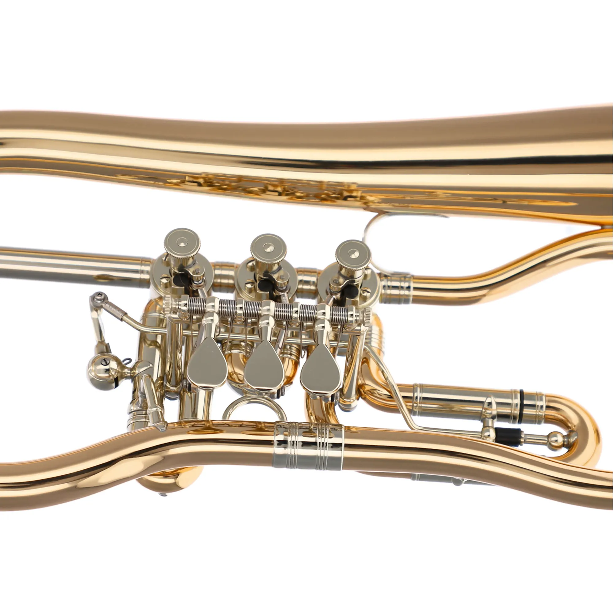 Worischek D16